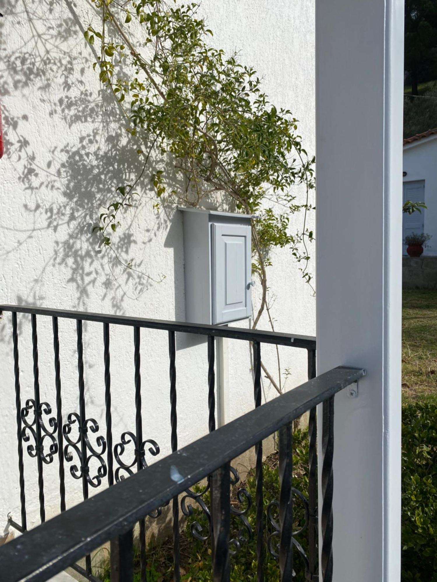 Calma Cottage 斯基亚索斯镇 外观 照片