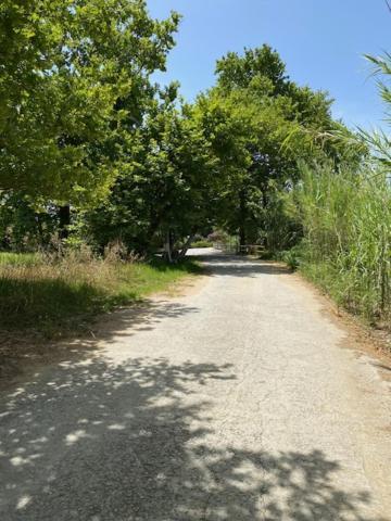 Calma Cottage 斯基亚索斯镇 外观 照片